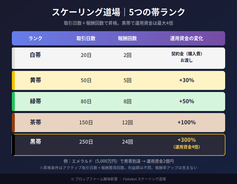 Fintokeiスケーリング道場 白帯から黒帯の5ランク 運用資金最大4倍